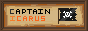 captainicarus's button